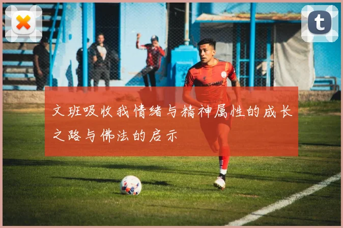 文班吸收我情绪与精神属性的成长之路与佛法的启示